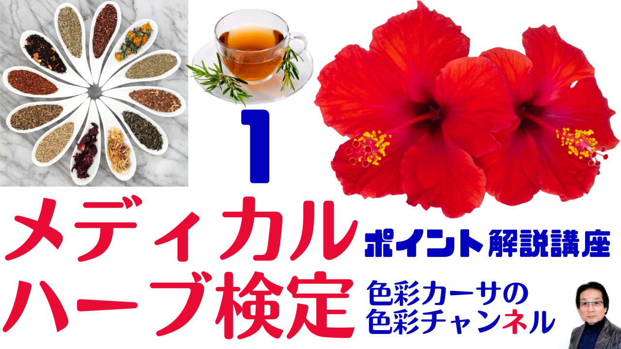 6.メディカルハーブ検定 ポイント解説講座 - YouTube